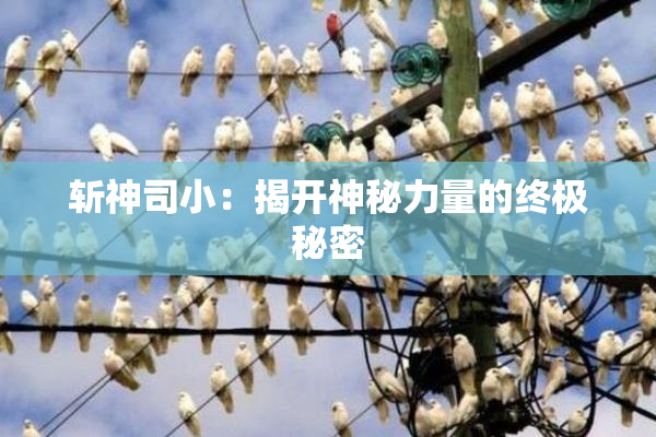 斩神司小：揭开神秘力量的终极秘密