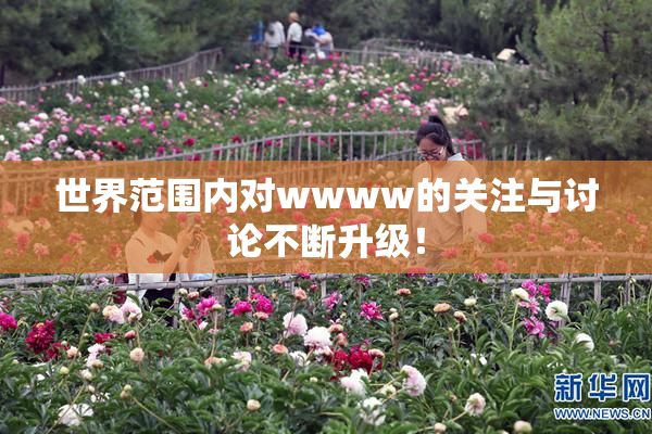 世界范围内对wwww的关注与讨论不断升级！