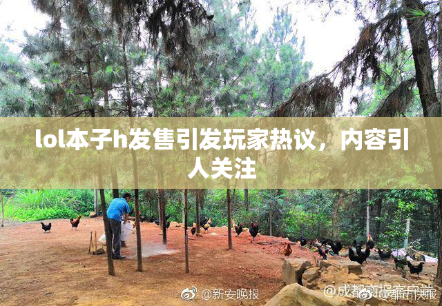lol本子h发售引发玩家热议，内容引人关注