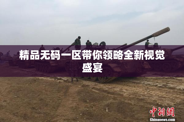 精品无码一区带你领略全新视觉盛宴