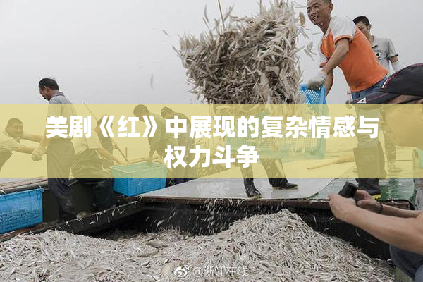 美剧《红》中展现的复杂情感与权力斗争