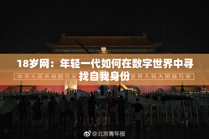 18岁网：年轻一代如何在数字世界中寻找自我身份