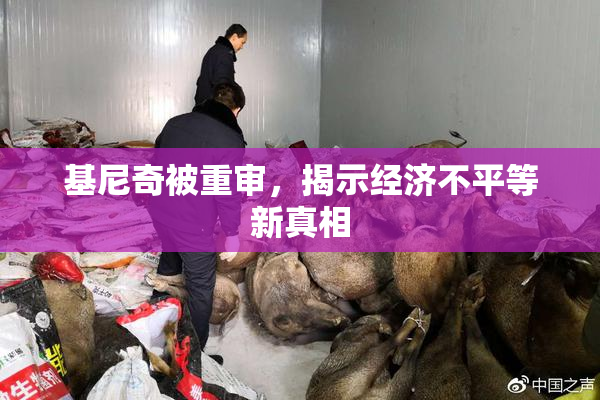 基尼奇被重审，揭示经济不平等新真相