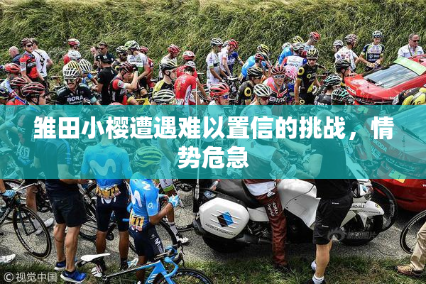 雏田小樱遭遇难以置信的挑战，情势危急