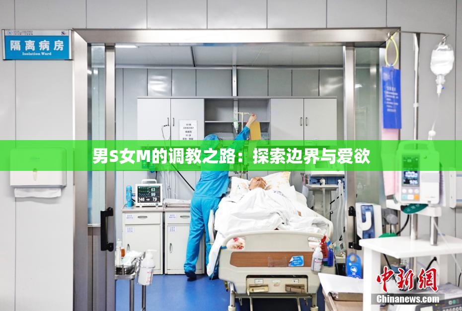 男S女M的调教之路：探索边界与爱欲