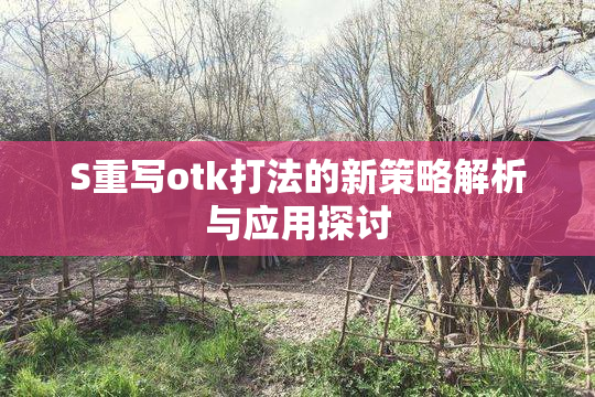 S重写otk打法的新策略解析与应用探讨