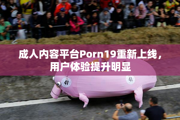 成人内容平台Porn19重新上线，用户体验提升明显