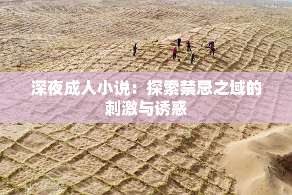 深夜成人小说：探索禁忌之域的刺激与诱惑