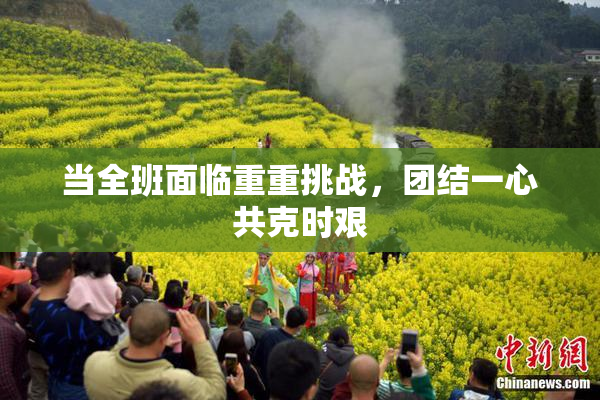 当全班面临重重挑战，团结一心共克时艰