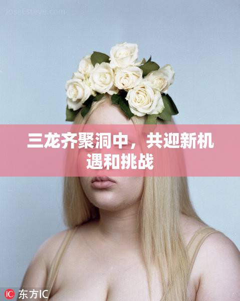 三龙齐聚洞中，共迎新机遇和挑战