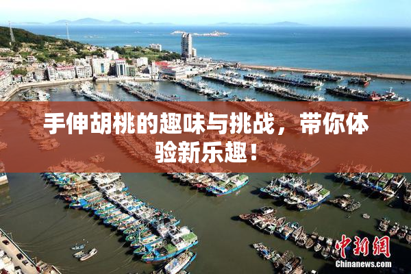 手伸胡桃的趣味与挑战，带你体验新乐趣！