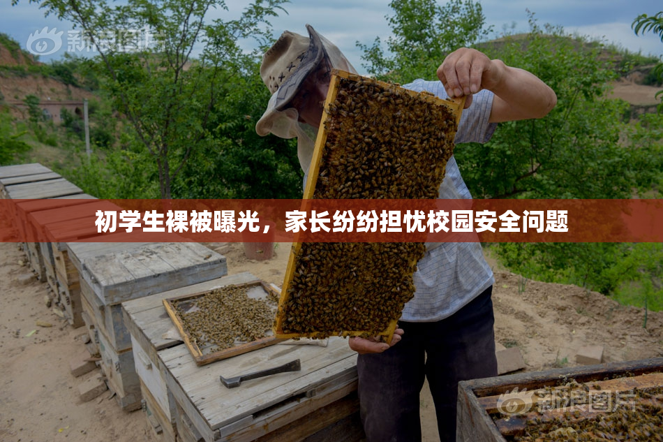 初学生裸被曝光，家长纷纷担忧校园安全问题