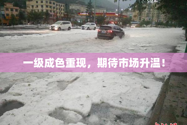 一级成色重现，期待市场升温！