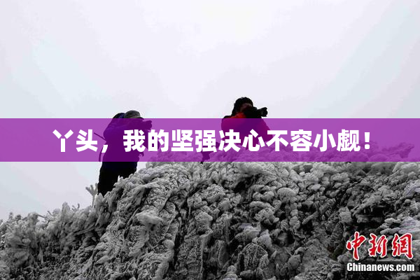 丫头，我的坚强决心不容小觑！