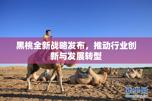 黑桃全新战略发布，推动行业创新与发展转型