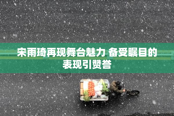 宋雨琦再现舞台魅力 备受瞩目的表现引赞誉