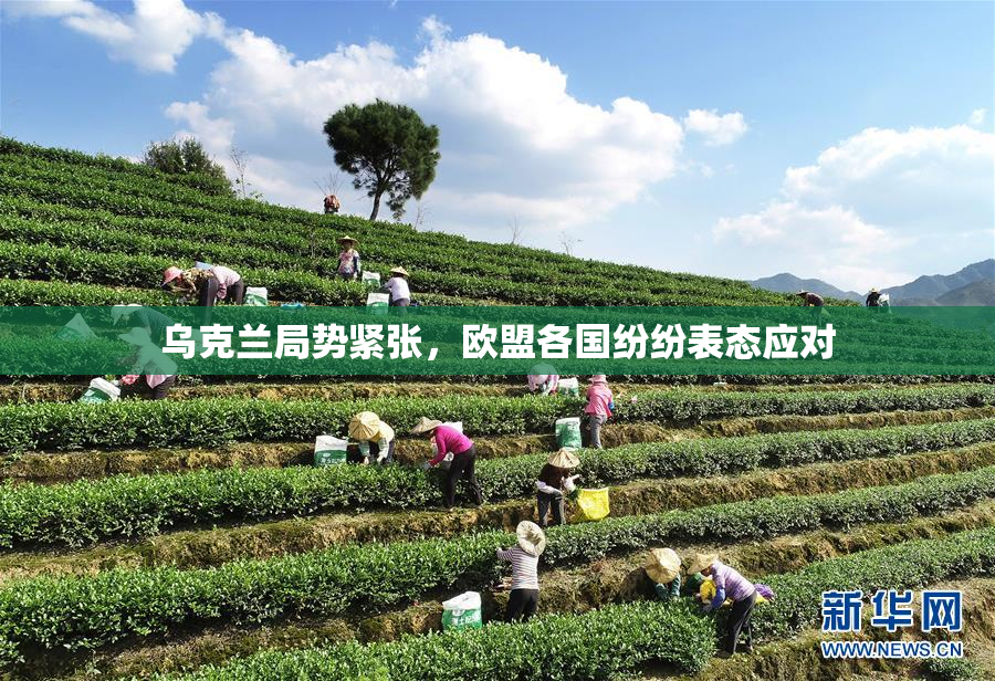 乌克兰局势紧张，欧盟各国纷纷表态应对