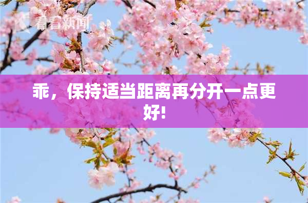 乖，保持适当距离再分开一点更好!
