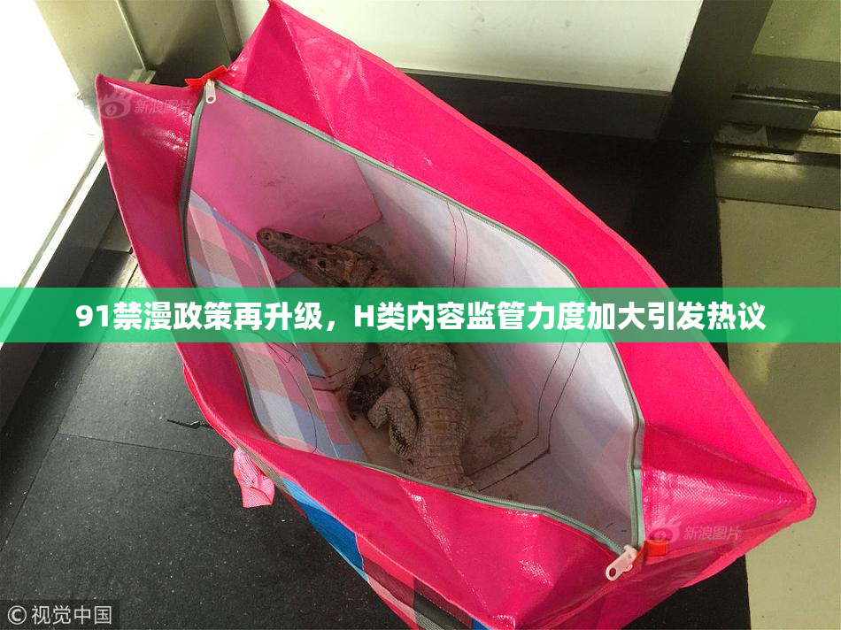 91禁漫政策再升级，H类内容监管力度加大引发热议