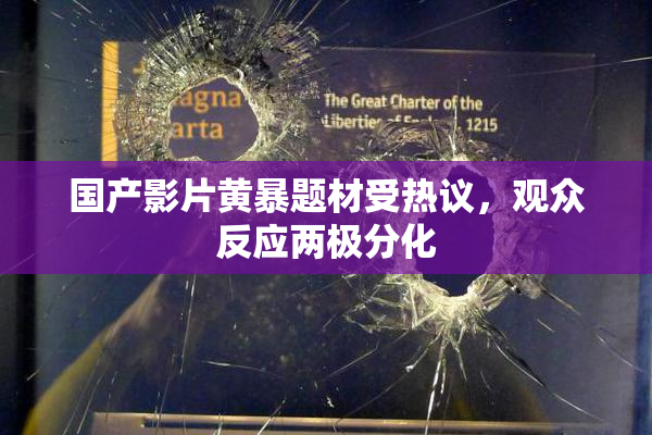 国产影片黄暴题材受热议，观众反应两极分化