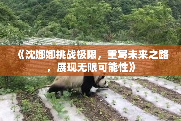 《沈娜娜挑战极限，重写未来之路，展现无限可能性》
