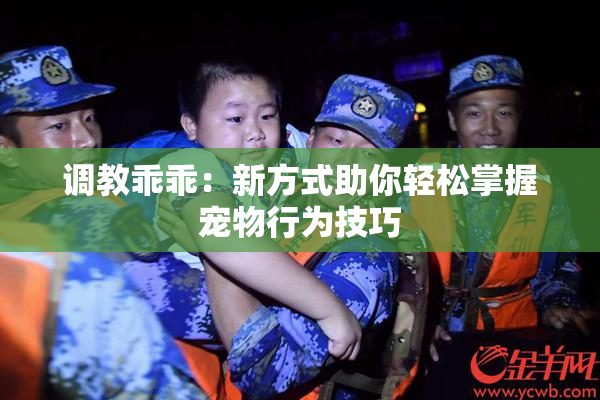 调教乖乖：新方式助你轻松掌握宠物行为技巧