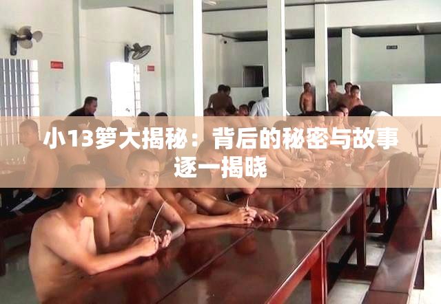 小13箩大揭秘：背后的秘密与故事逐一揭晓