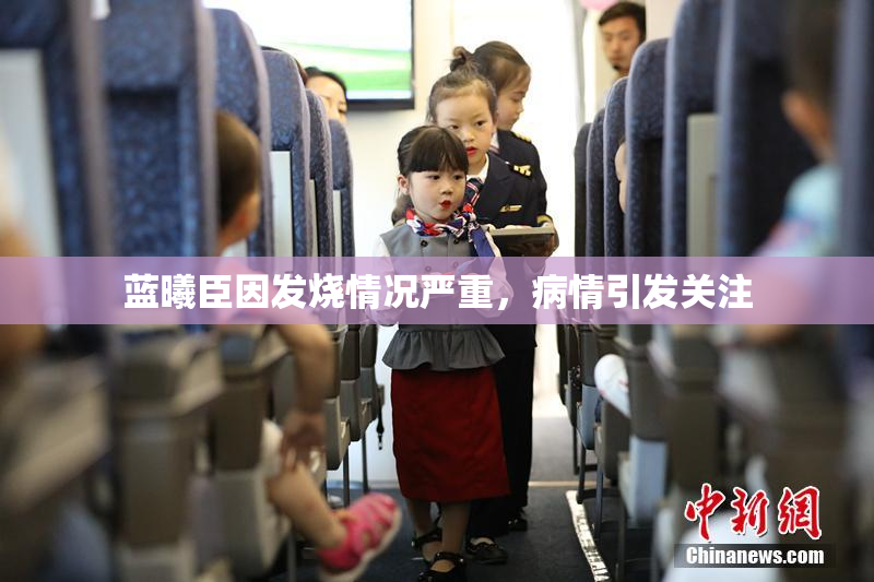 蓝曦臣因发烧情况严重，病情引发关注