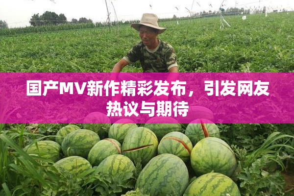 国产MV新作精彩发布，引发网友热议与期待