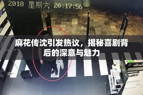 麻花传沈引发热议，揭秘喜剧背后的深意与魅力