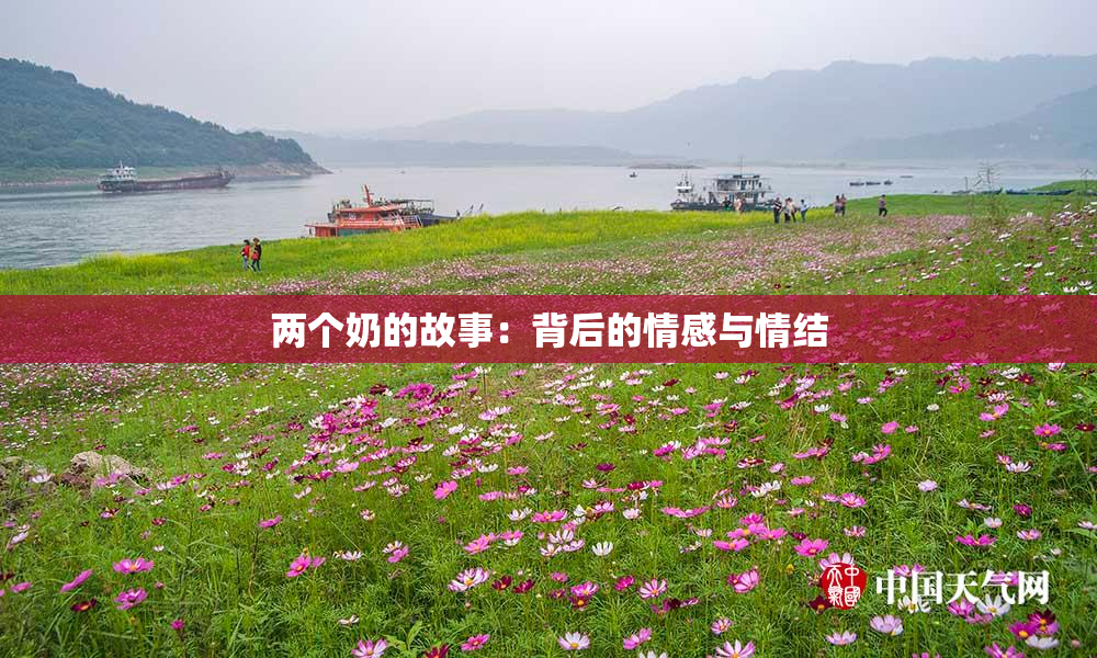 两个奶的故事：背后的情感与情结