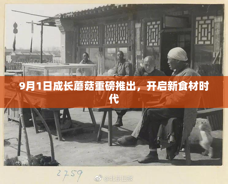 9月1日成长蘑菇重磅推出，开启新食材时代