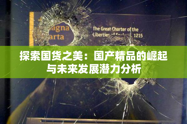 探索国货之美：国产精品的崛起与未来发展潜力分析