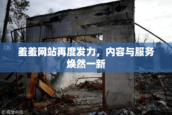 羞羞网站再度发力，内容与服务焕然一新