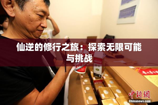 仙逆的修行之旅：探索无限可能与挑战