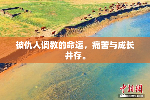 被仇人调教的命运，痛苦与成长并存。