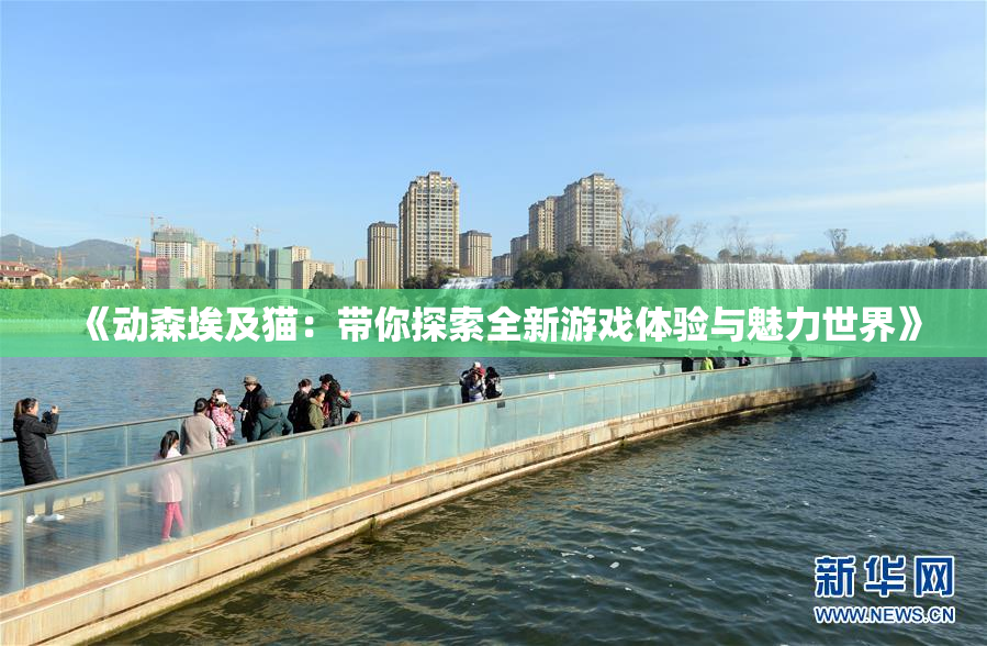 《动森埃及猫：带你探索全新游戏体验与魅力世界》