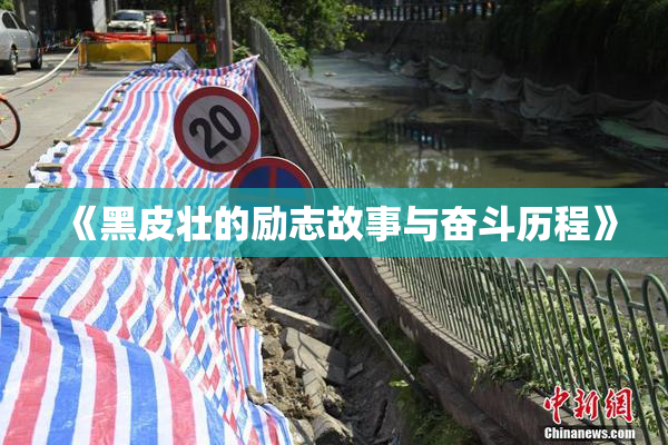 《黑皮壮的励志故事与奋斗历程》