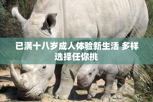 已满十八岁成人体验新生活 多样选择任你挑