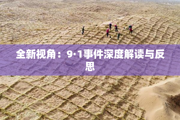 全新视角：9·1事件深度解读与反思