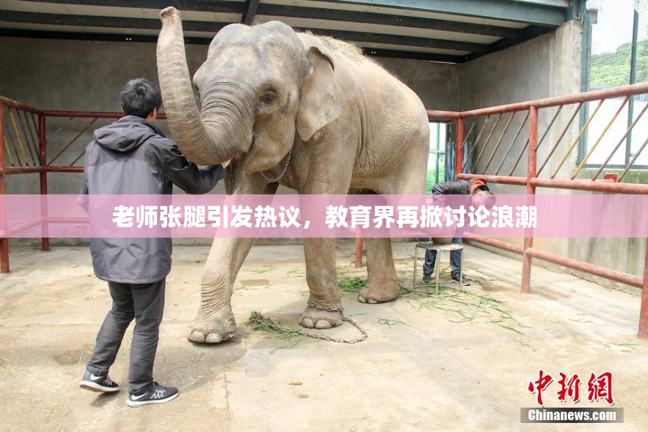 老师张腿引发热议，教育界再掀讨论浪潮