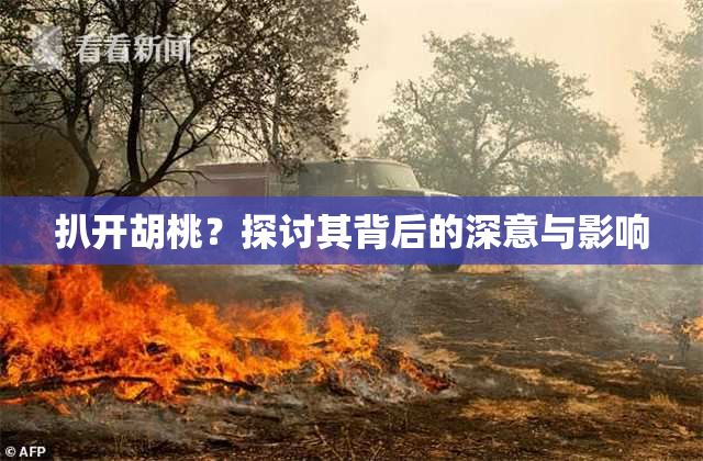 扒开胡桃？探讨其背后的深意与影响