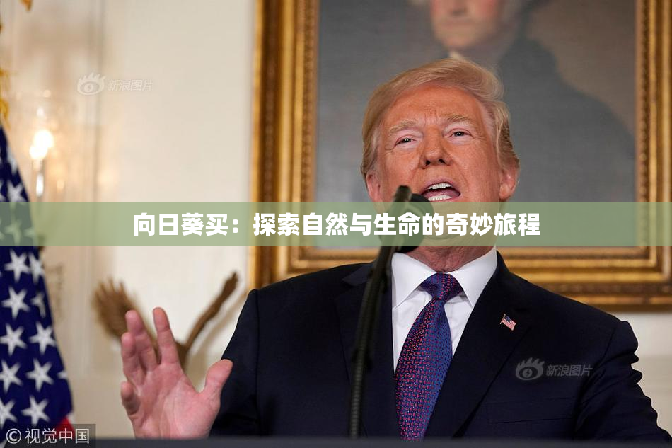 向日葵买：探索自然与生命的奇妙旅程