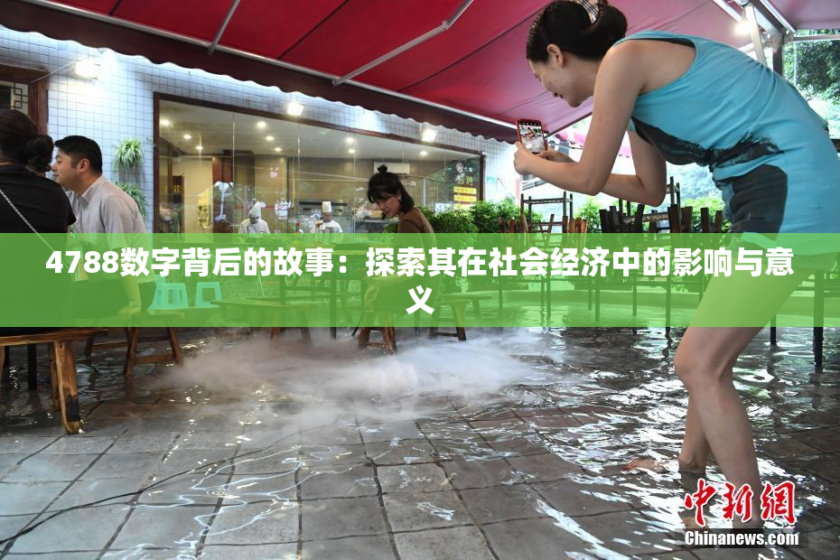 4788数字背后的故事：探索其在社会经济中的影响与意义