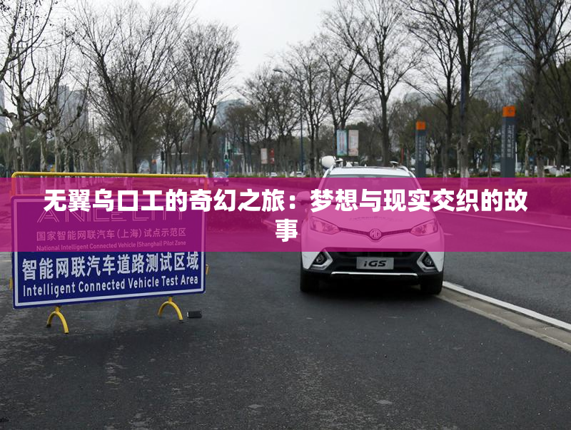 无翼乌口工的奇幻之旅：梦想与现实交织的故事