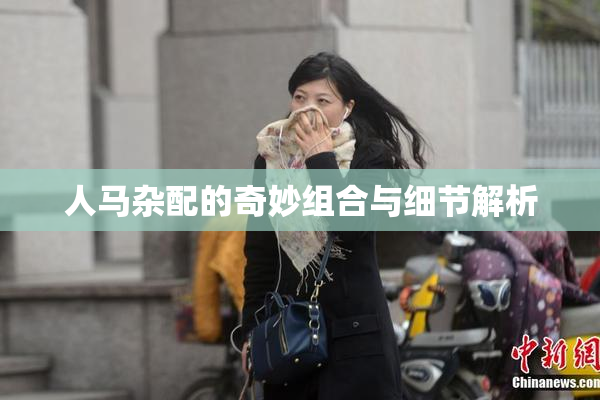 人马杂配的奇妙组合与细节解析