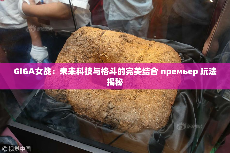GIGA女战：未来科技与格斗的完美结合 премьер 玩法揭秘