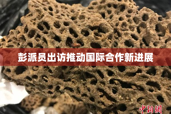 彭派员出访推动国际合作新进展