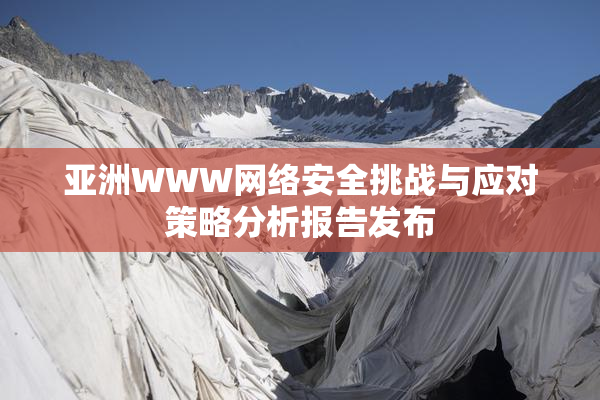 亚洲WWW网络安全挑战与应对策略分析报告发布