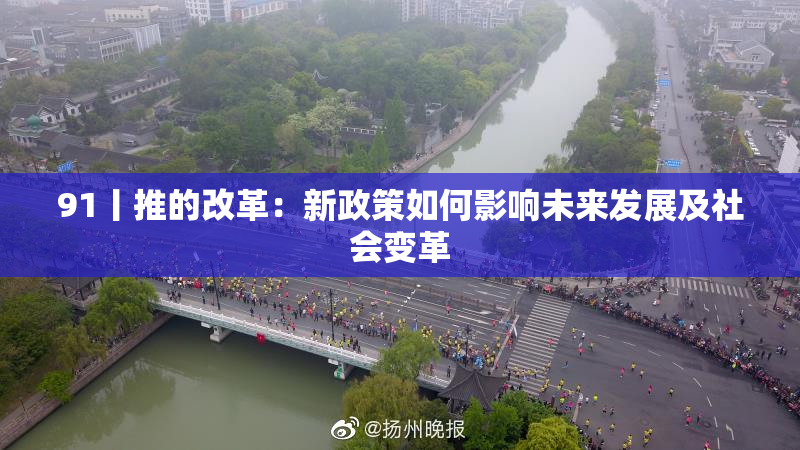 91丨推的改革：新政策如何影响未来发展及社会变革
